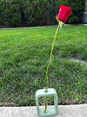 Open image in slideshow, Plant Propagation Cement Vase
